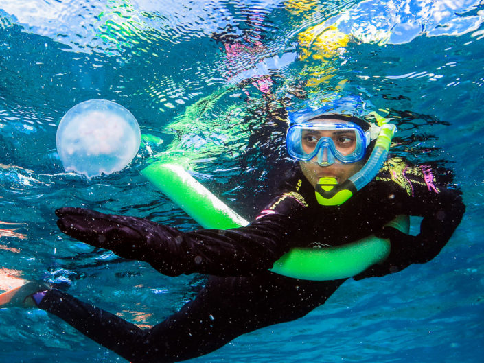 Snorkeling With Jellyfish