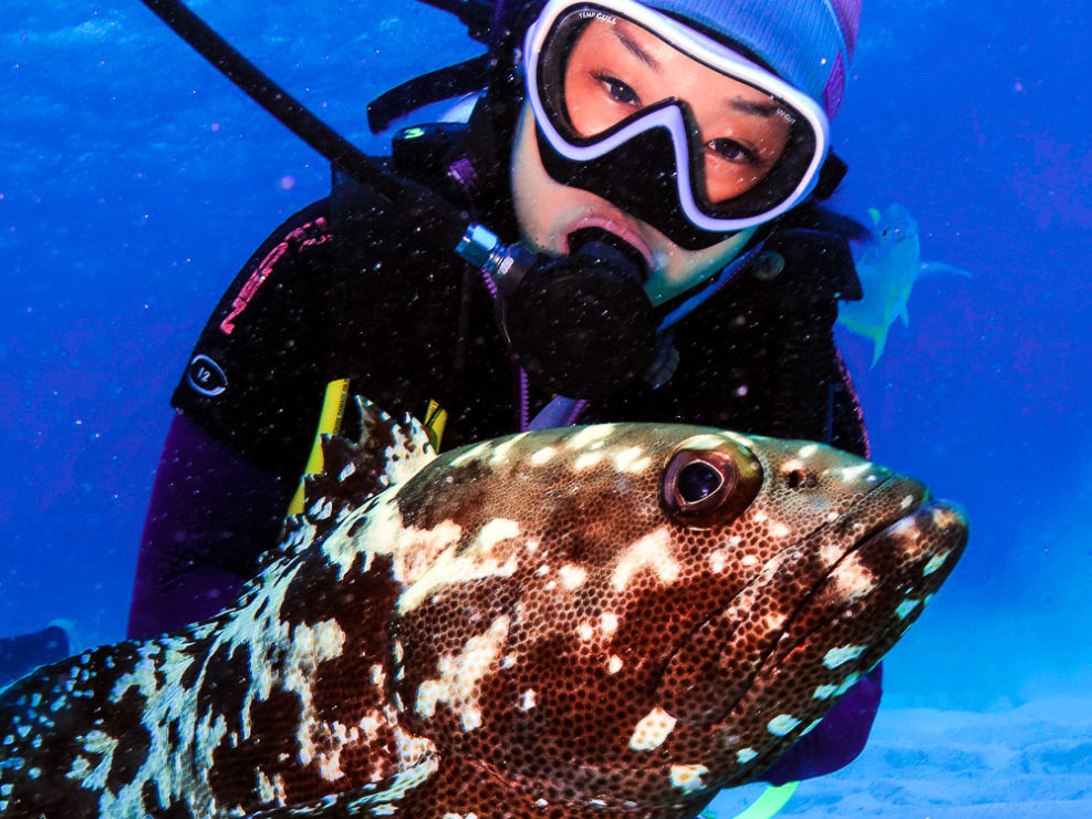 Diving With a Flowery Cod