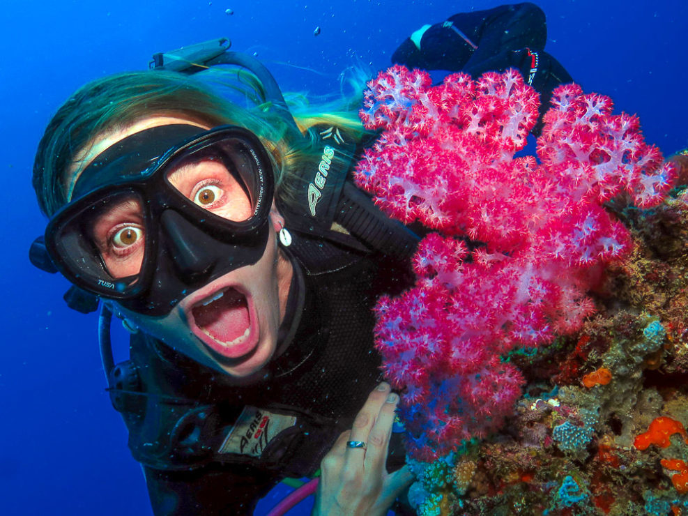 Diving the Great Barrier Reef