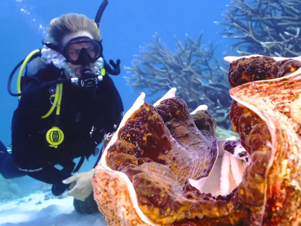 Let's Explore the Great Barrier Reef